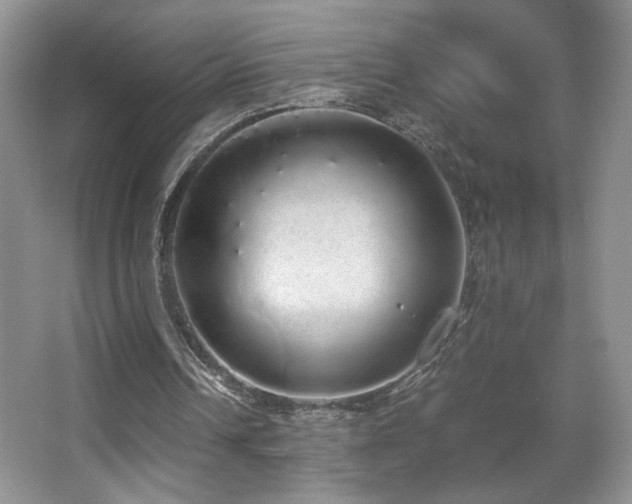 X0000067870242200604131243