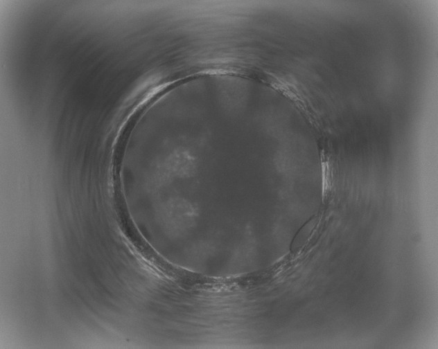 X0000067870243200604131243