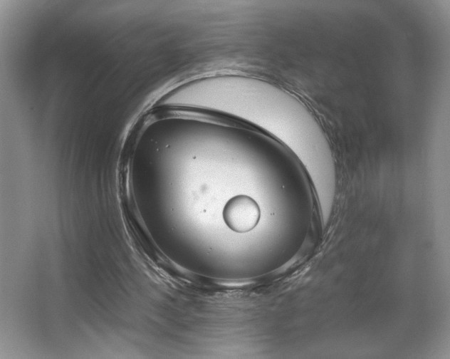 X0000067870244200604131243