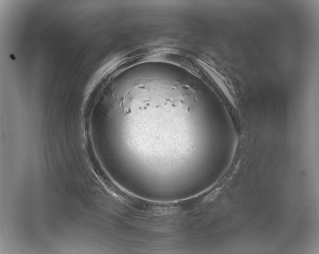 X0000067870245200604131243