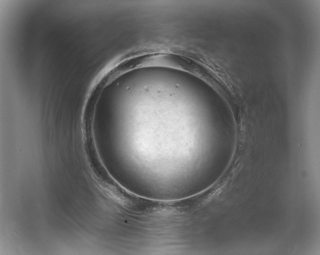 X0000067870246200604131243