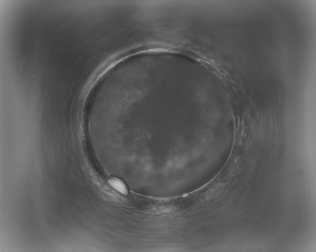 X0000067870247200604131244