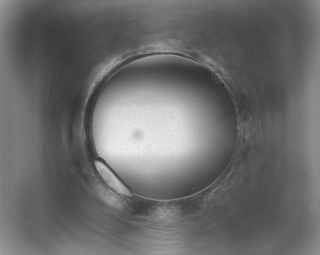 X0000067870248200604131244