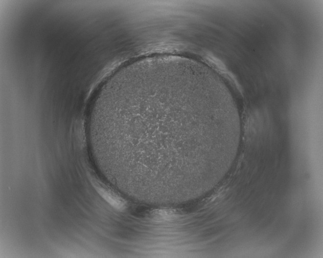 X0000067870250200604131244