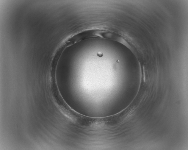 X0000067870252200604131244