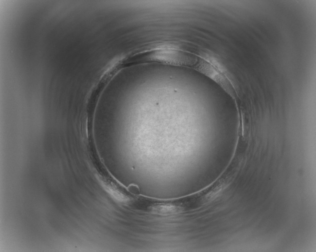 X0000067870253200604131244