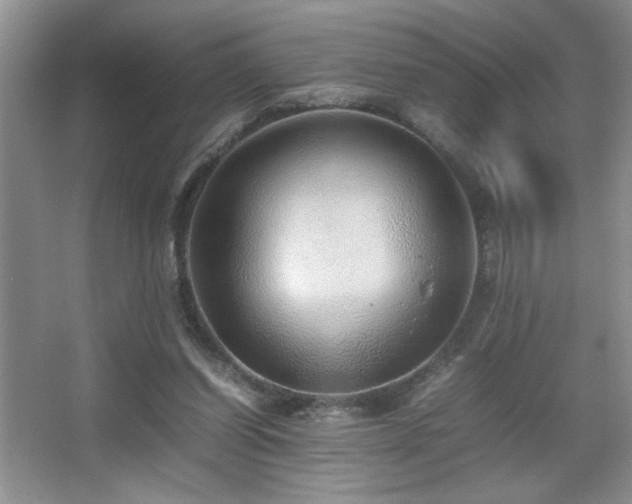 X0000067870254200604131244