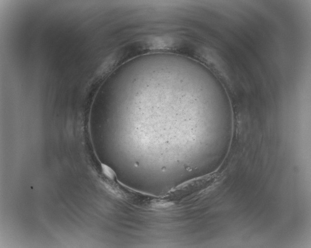 X0000067870257200604131244