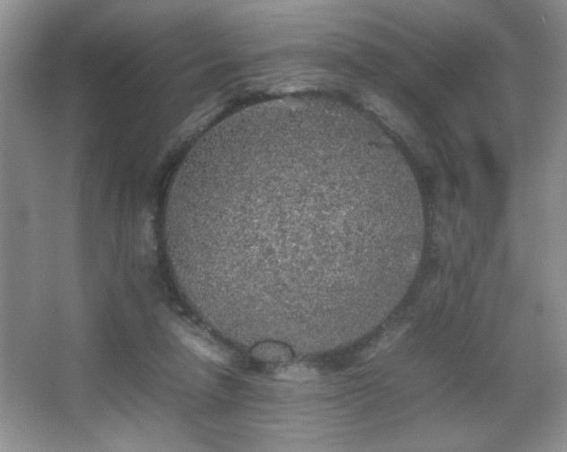 X0000067870258200604131244