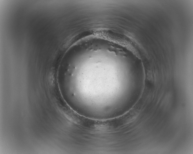 X0000067870259200604131244