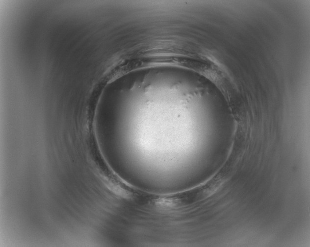 X0000067870261200604131244