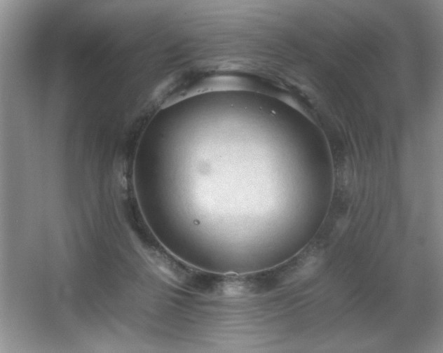 X0000067870264200604131244