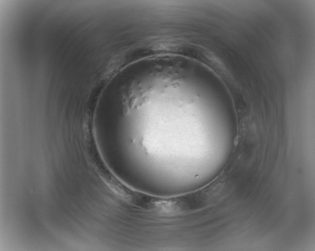 X0000067870265200604131244