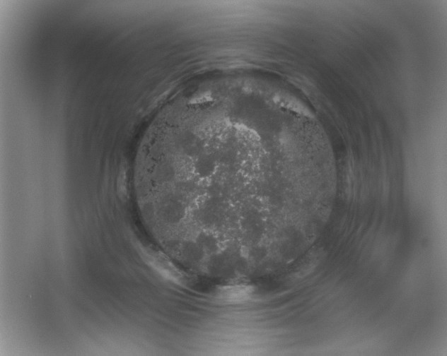 X0000067870266200604131244