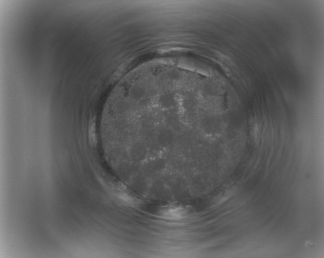 X0000067870267200604131244