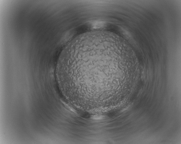 X0000067870269200604131244