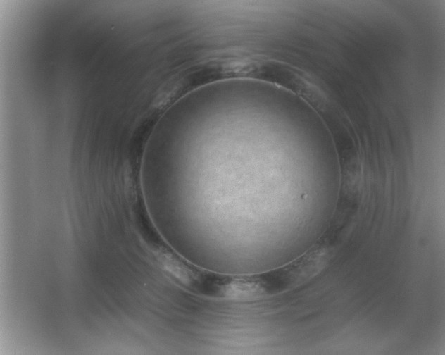 X0000067870270200604131244