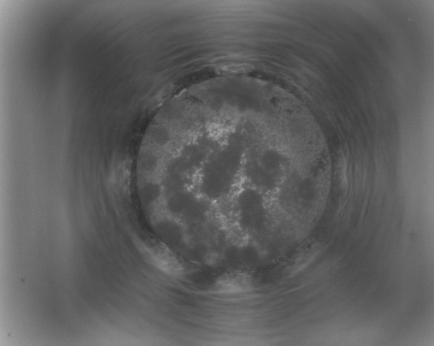 X0000067870271200604131244