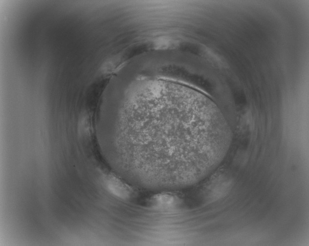 X0000067870272200604131244