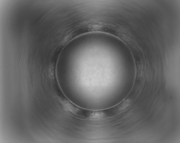 X0000067870274200604131244