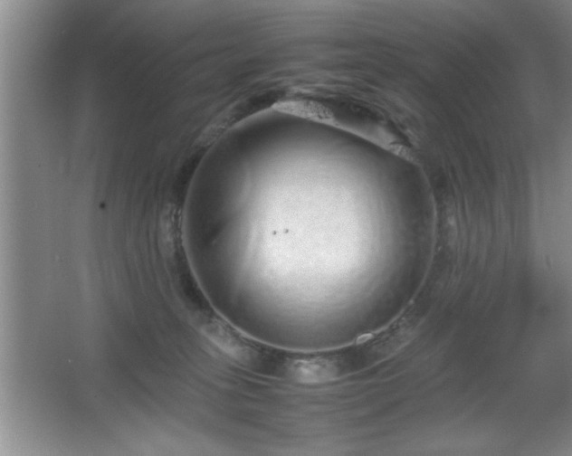 X0000067870275200604131244