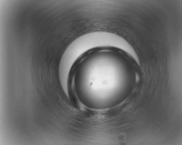 X0000067870276200604131244