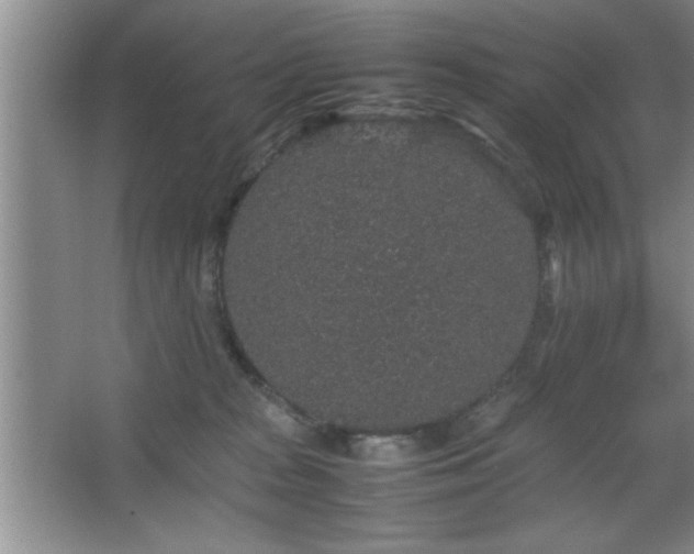 X0000067870277200604131244