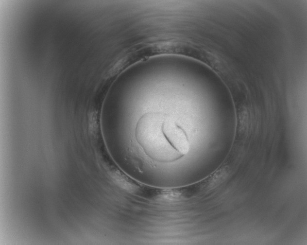 X0000067870278200604131244