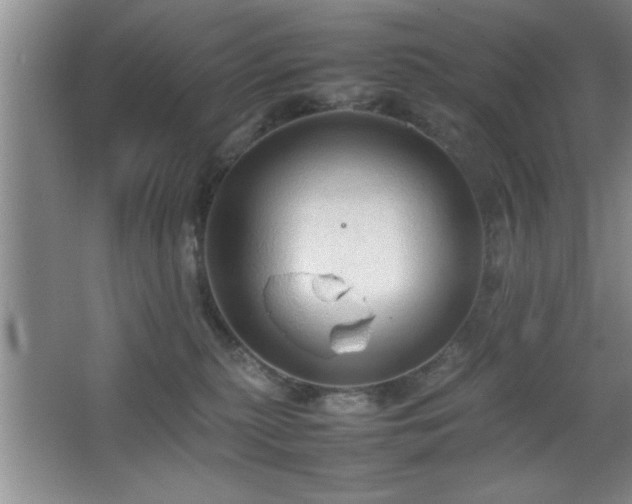 X0000067870279200604131244