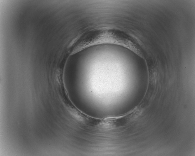 X0000067870280200604131244