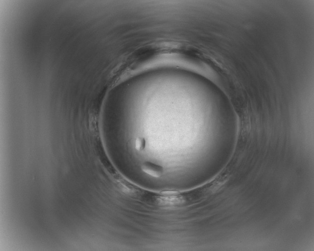 X0000067870281200604131244