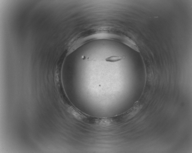 X0000067870282200604131244