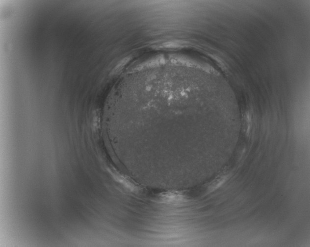 X0000067870284200604131244