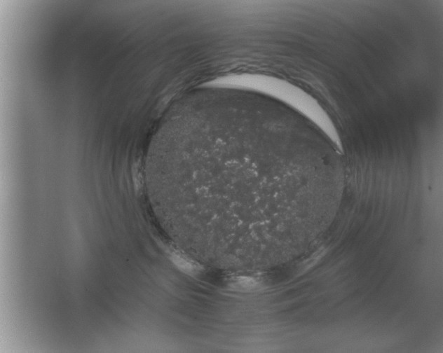 X0000067870285200604131244