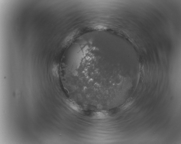 X0000067870286200604131244