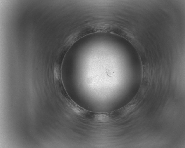 X0000067870287200604131244