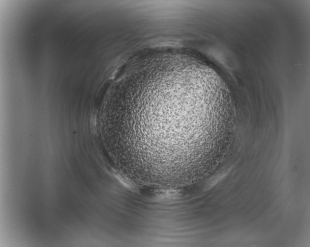 X0000067870288200604131244