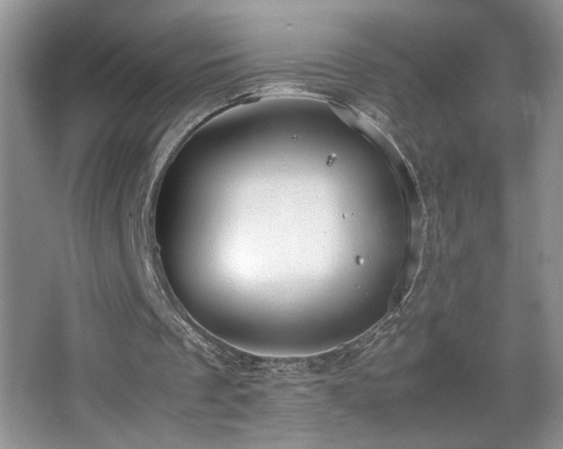 X0000067870289200604131243