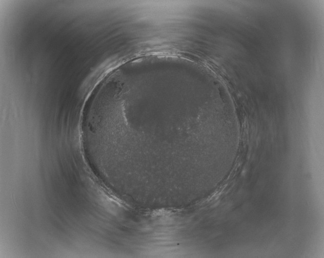 X0000067870290200604131243