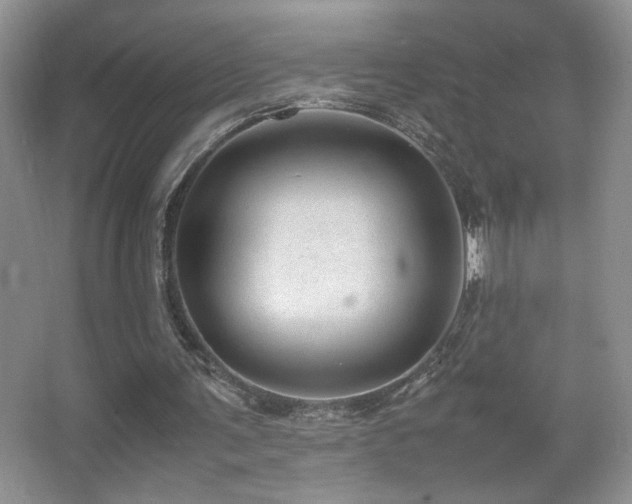 X0000067870291200604131243