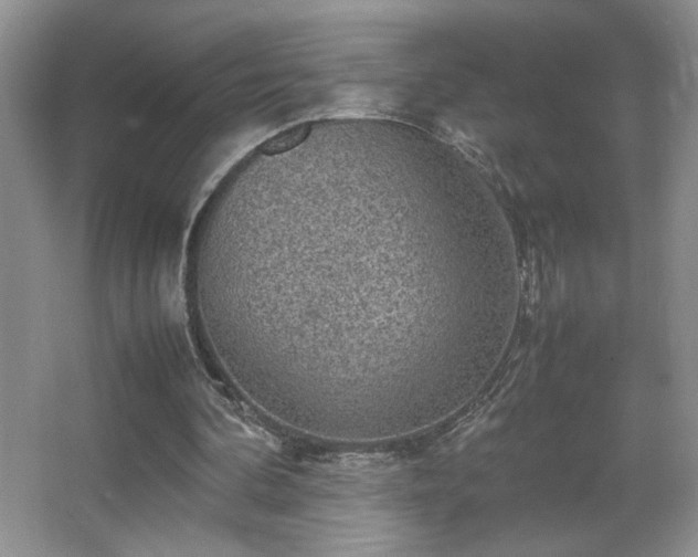 X0000067870292200604131243