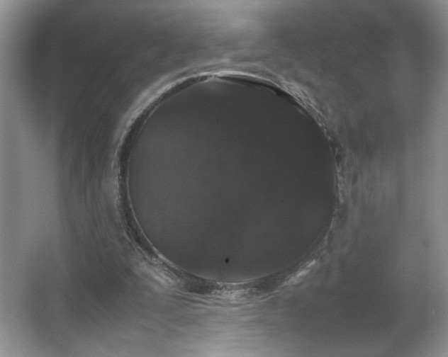 X0000067870295200604131243