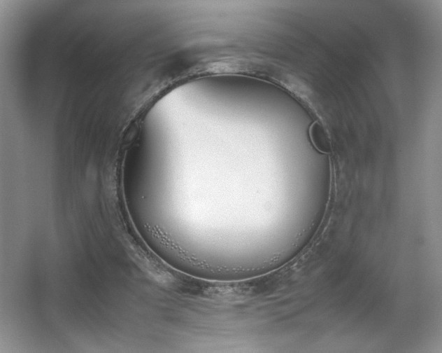 X0000067870297200604131243