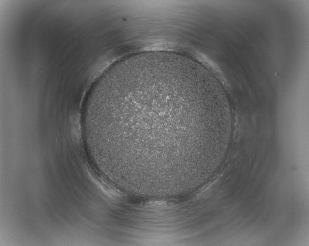 X0000067870298200604131243