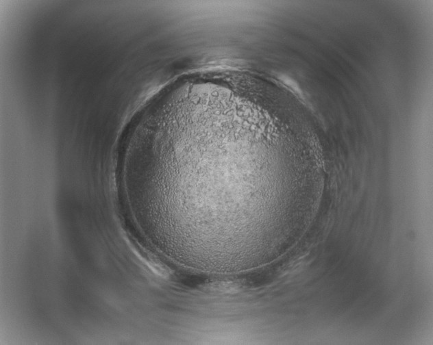 X0000067870299200604131243