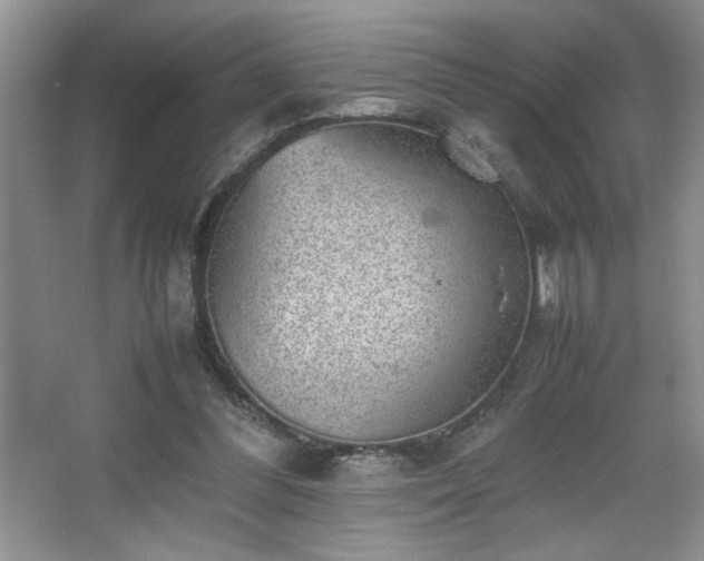 X0000067870300200604131243