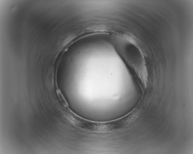 X0000067870301200604131243