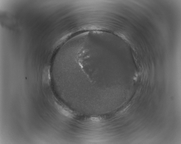 X0000067870302200604131243