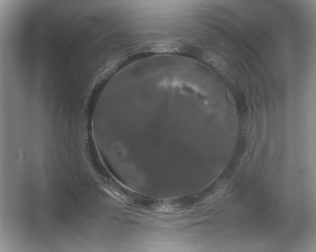 X0000067870303200604131243