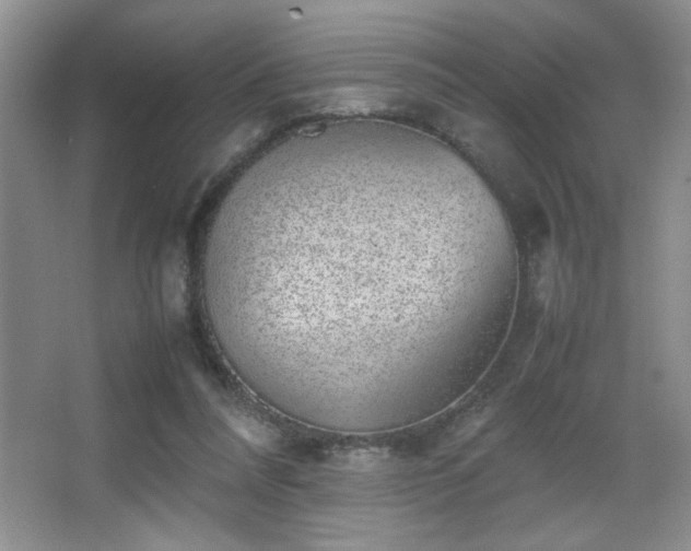 X0000067870304200604131243